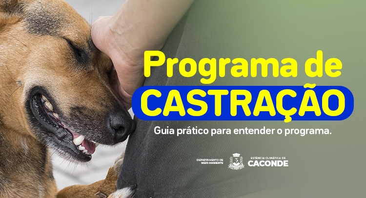 Capa da notícia